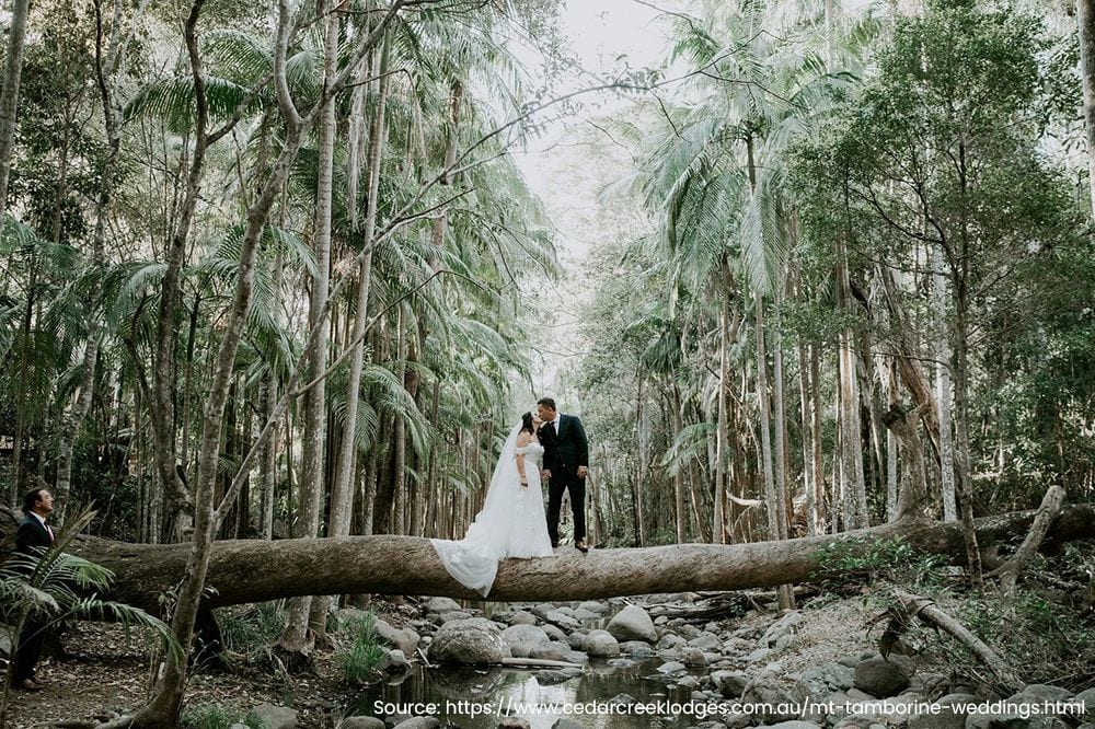 Real wedding hair and makeup at Tamborine Mountain Glades, Gold Coast